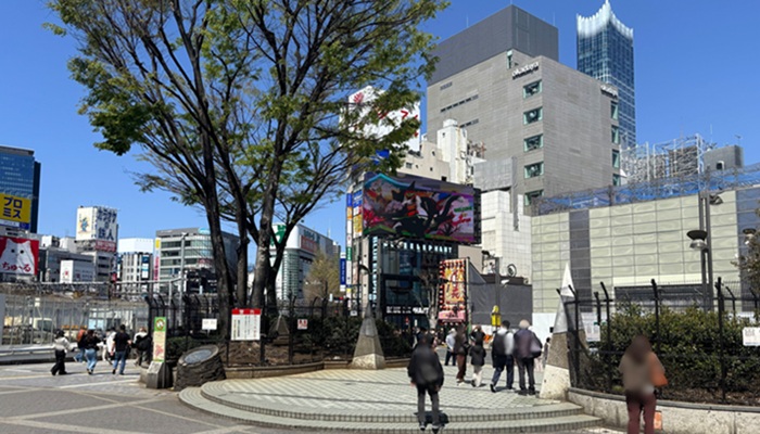 新宿駅東口ライオン像付近からの景色。正面右奥に3D三毛猫のクロス新宿ビジョンが見える。