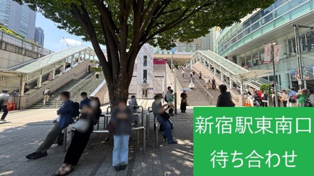 新宿駅東南口1階の駅前広場（新宿さくらスクエア）。待ち合わせ場所として利用される広場の様子